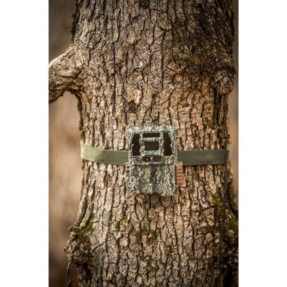 Browning DCL Nano night setup for low-profile field use