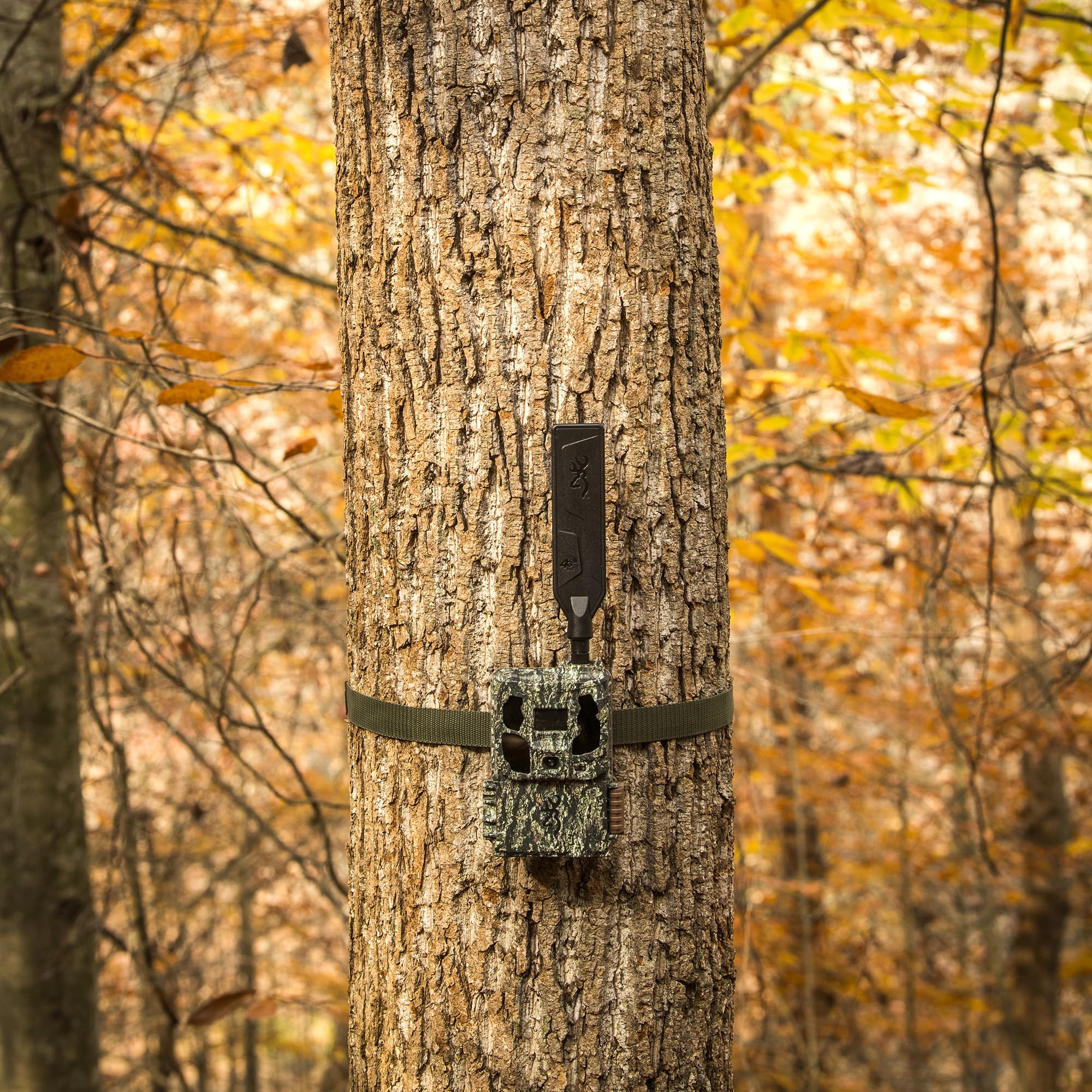 Browning Defender Pro Scout Max adjustable IR flash for low light