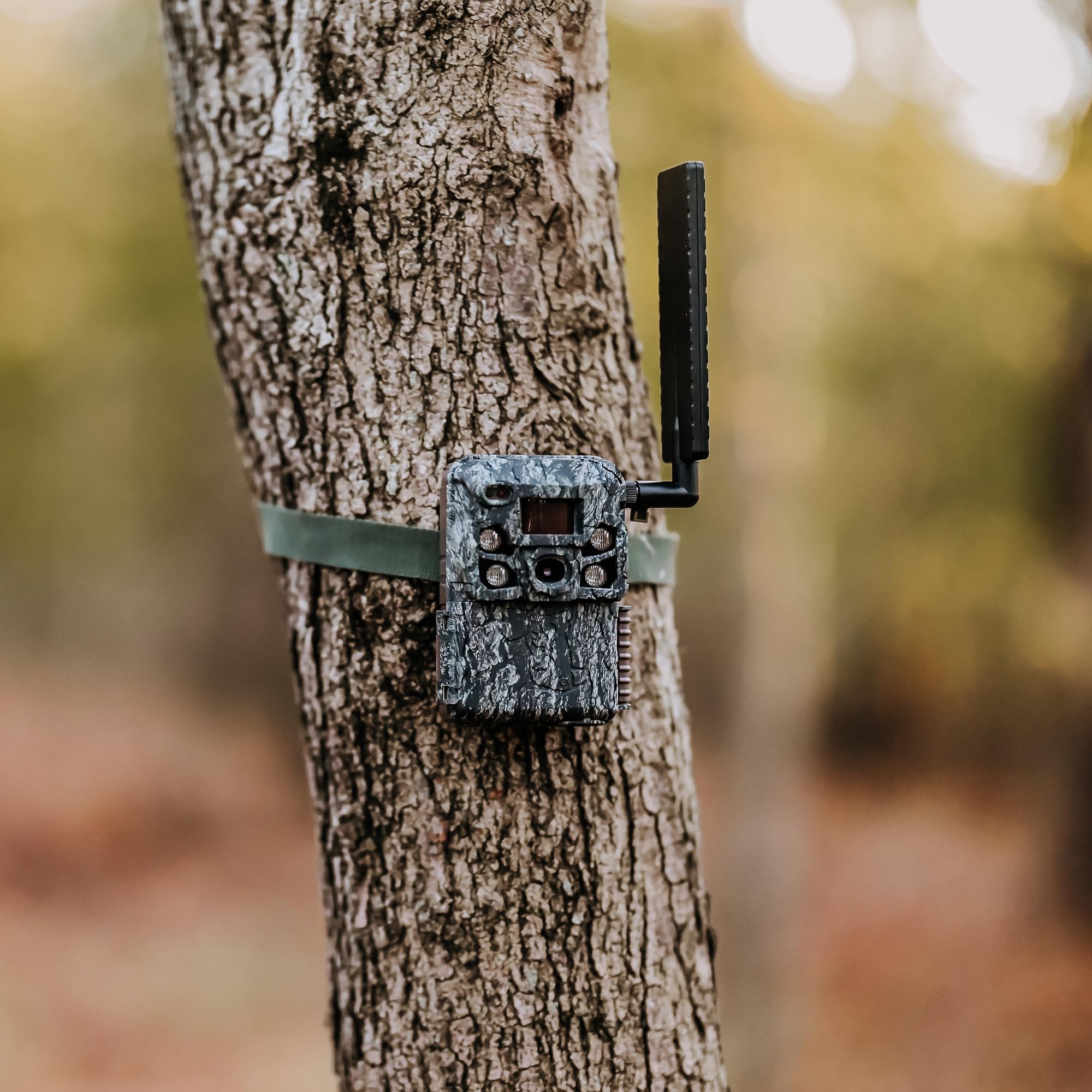 Browning Defender Vision Pro AI camera shows eight AA batteries for extended scouting