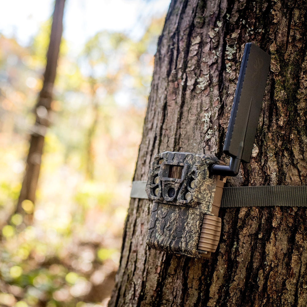 Browning Defender Vision Pro AI camera field setup in rugged terrain for reliability