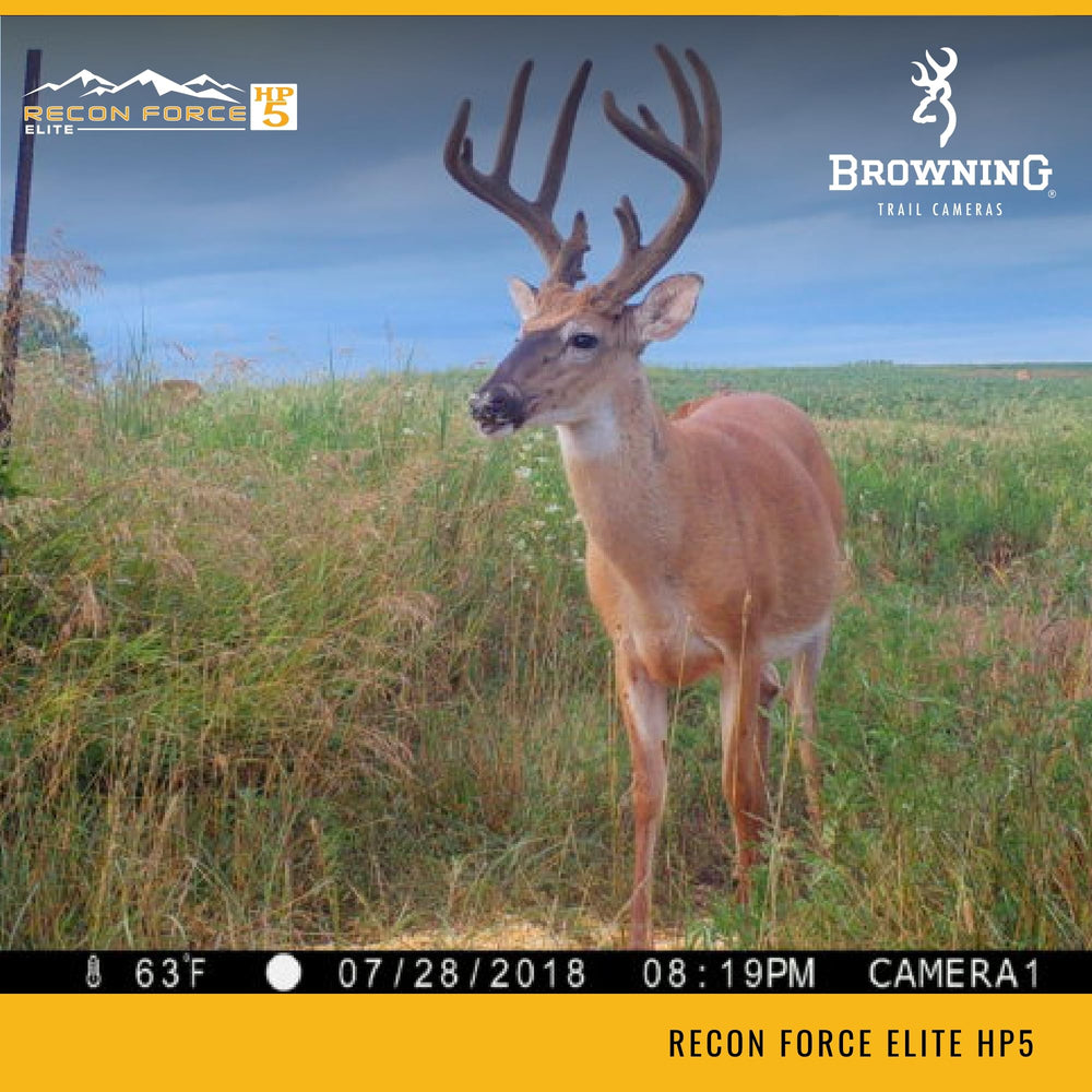 Browning Recon Force Elite HP5 rugged body stands up to outdoor weather