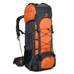 Bseash 60L internal frame backpack shows rugged frame for hiking