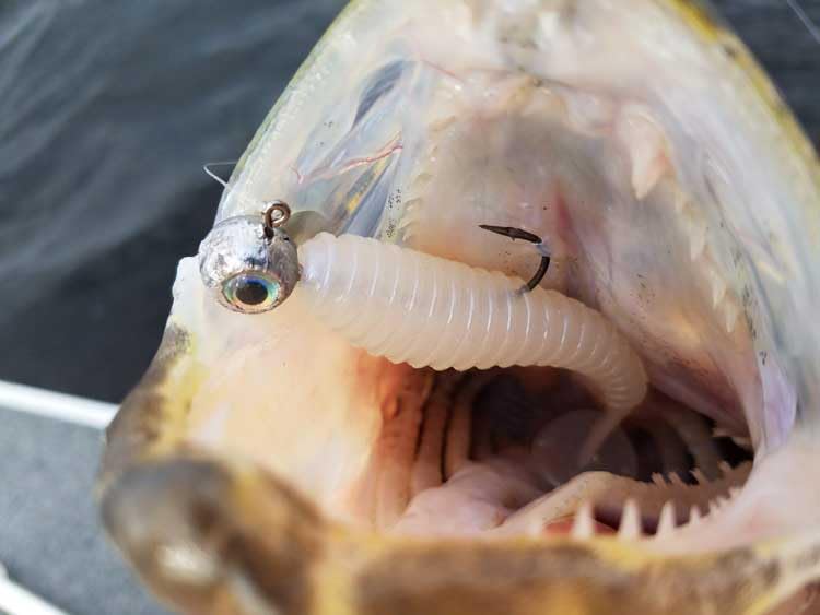 BT Outdoors Do It Molds Ripper in-water action close-up