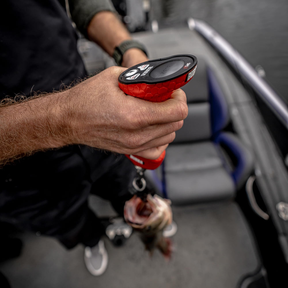 Battery options: AAA and rechargeable Li-ion for the scale