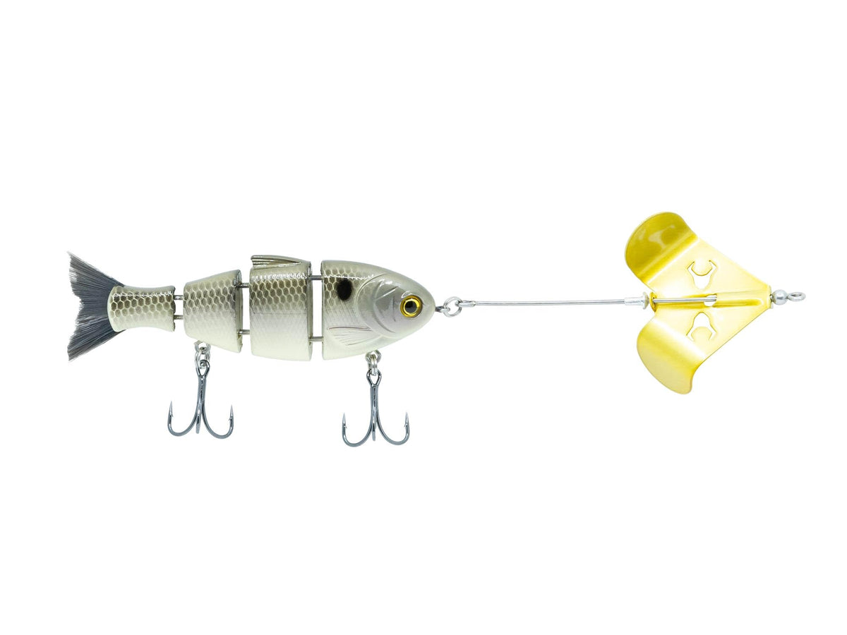 Bucca Brand Buzzing Baby Bull Shad 3.75in half-ounce in Gizzard Gold, surface lure for bass.