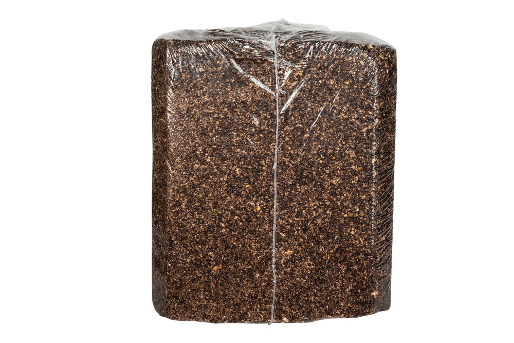 Buck Bourbon sweet aroma closeup highlighting scent and lure