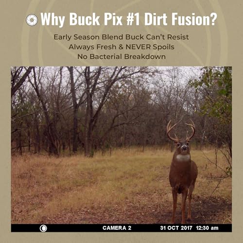 Buck Fever Synthetics Dirt Fusion scent in soil by trail camera setup for early-season lure