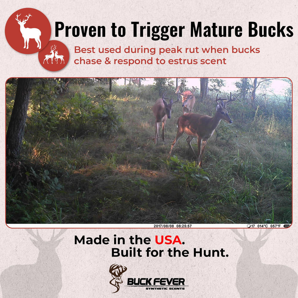 Buck Fever synthetic deer lure for rut-season attraction.