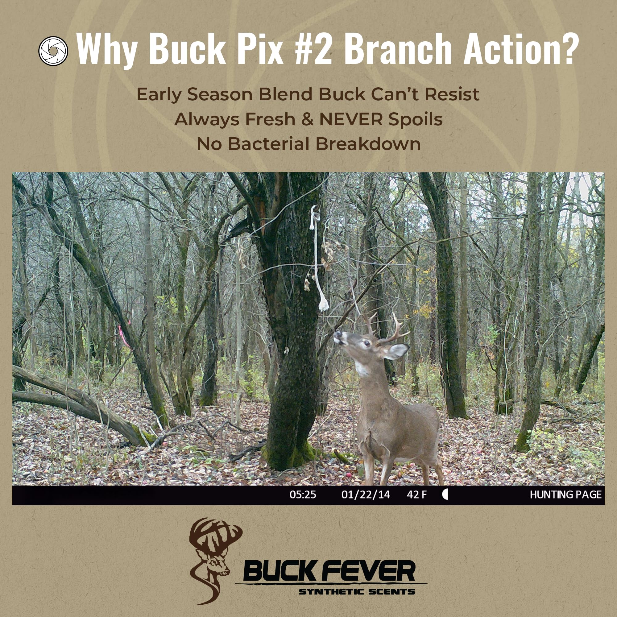 Buck Fever Synthetics Trail Camera Ready Attractant helps draw bucks near cameras.