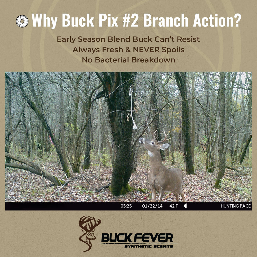 Buck Fever Synthetics Trail Camera Ready Attractant helps draw bucks near cameras.