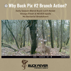 Buck Fever Synthetics Trail Camera Ready Attractant helps draw bucks near cameras.