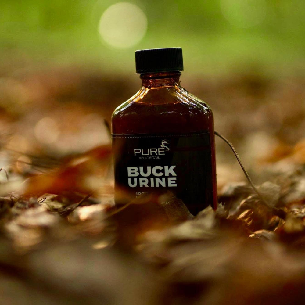 Buck Urine for scent setup close-up highlighting natural deer aroma