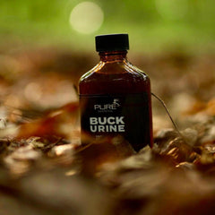 Buck Urine for scent setup close-up highlighting natural deer aroma