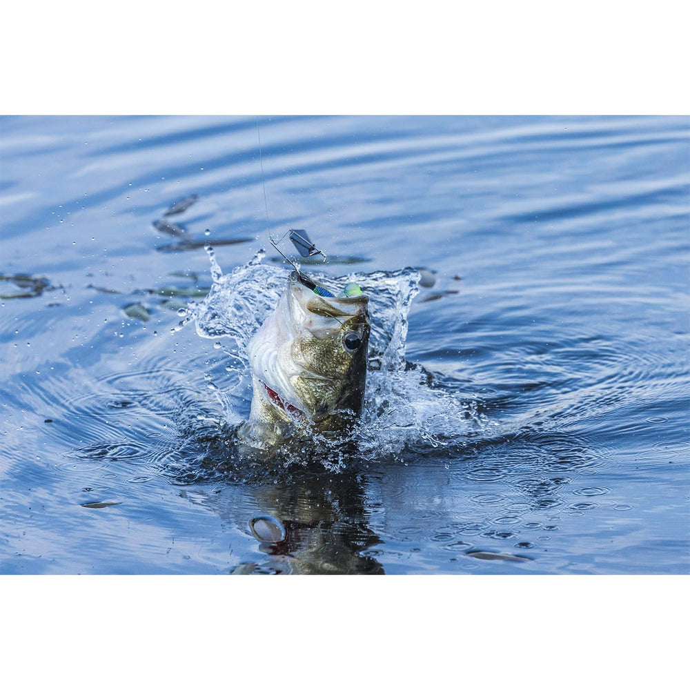 Topwater action and heart-stopping surface strikes with Buckeye Lures G-Buzz