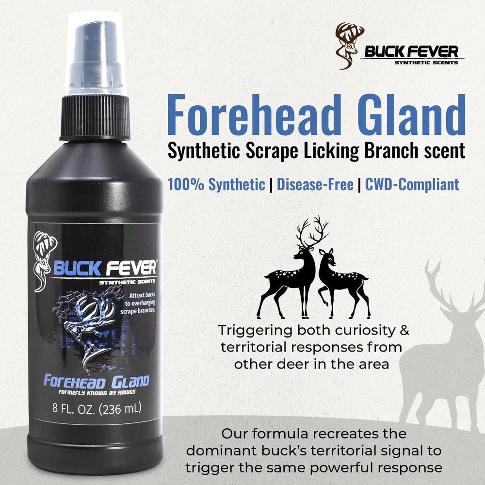 Buck Fever deer attractant on mock scrape branch to draw bucks and does.