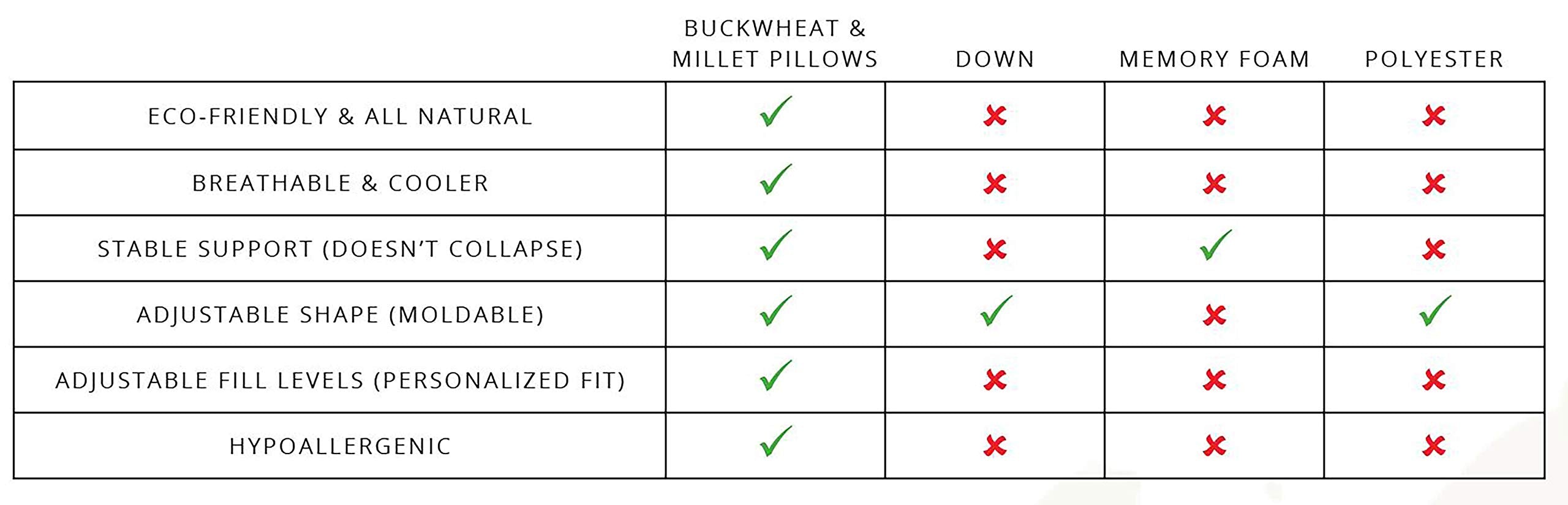 Bucky care guide shows removable cover for easy washing.