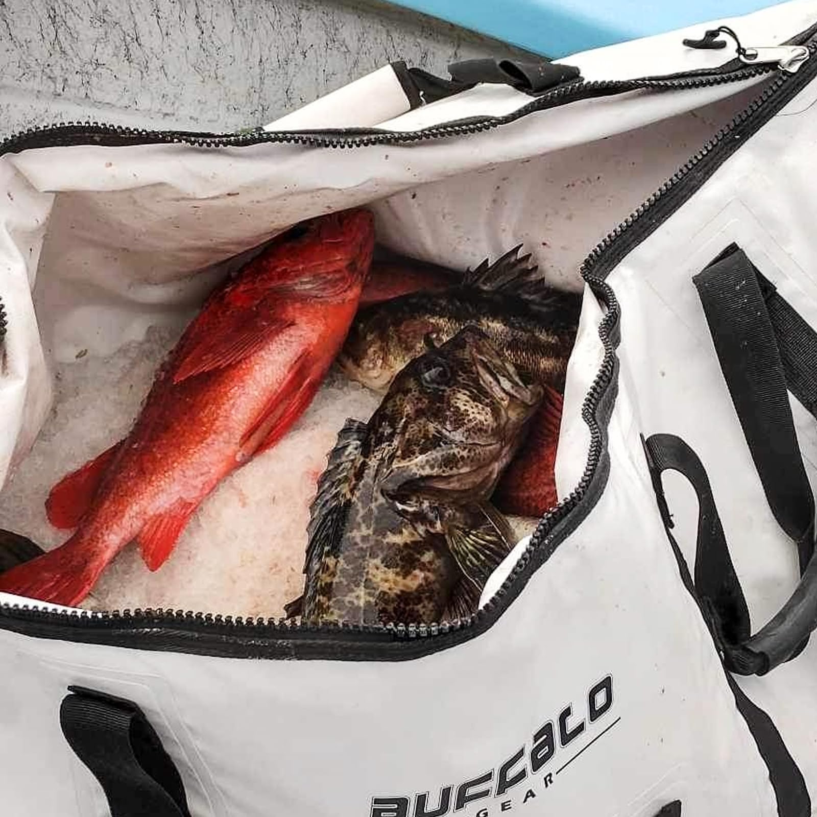 Buffalo Gear easy-clean design enables quick rinsing after messy catches.
