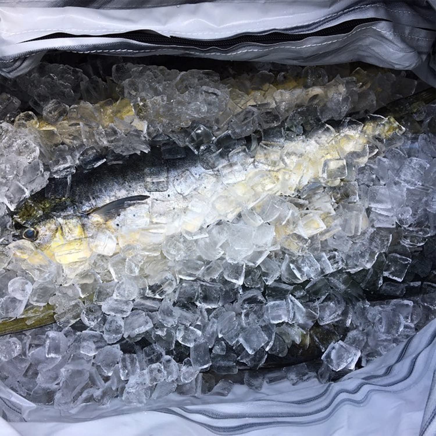 Buffalo Gear tuna fish cooler bag highlights ice retention for long runs.
