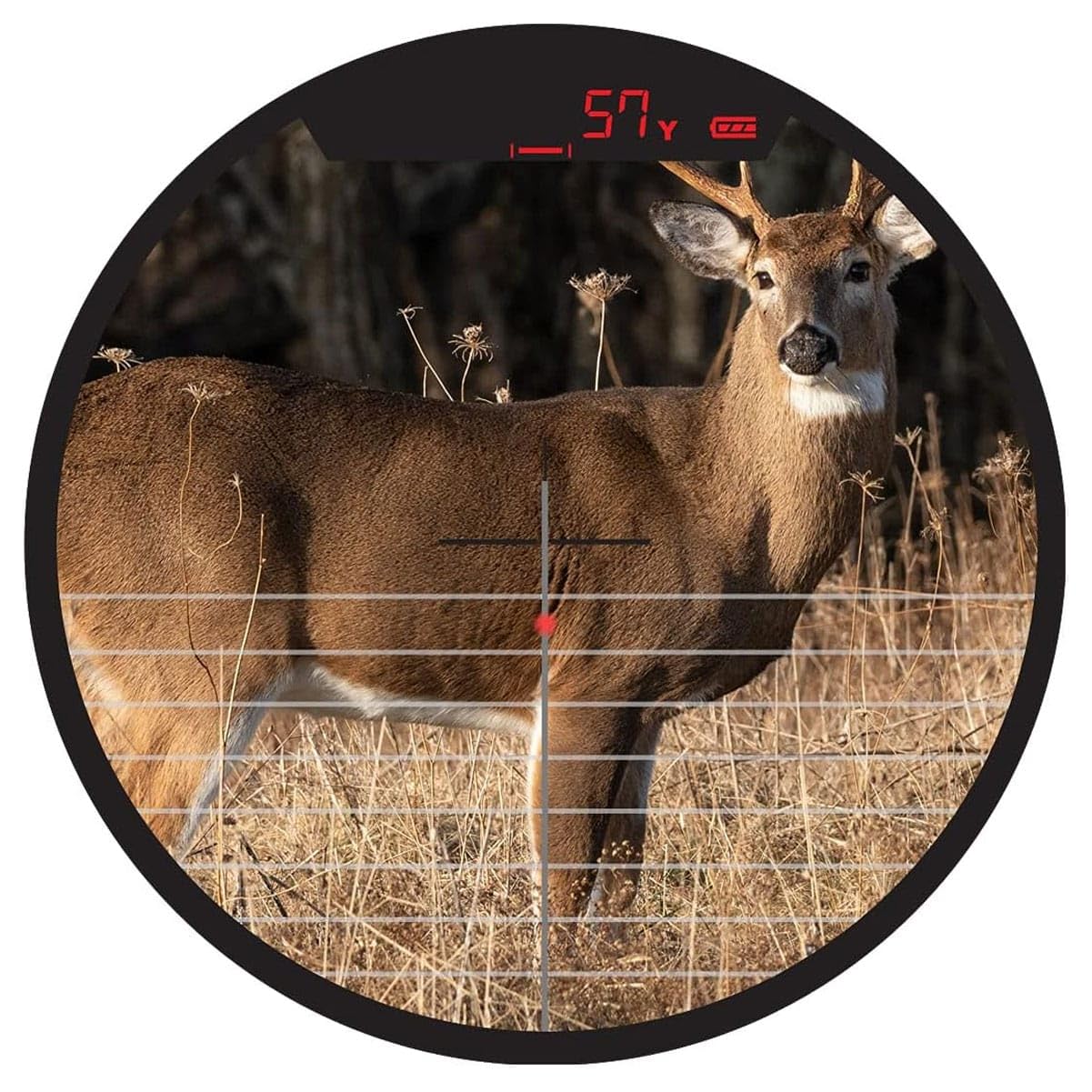 Burris OracleX aluminum mount provides durable attachment on rugged hunts.