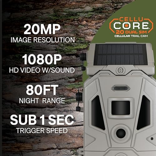 20MP image clarity sample from CelluCORE 20 Solar Trail Camera