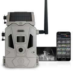 Bushnell CelluCORE 20 Solar Trail Camera on a tree with solar panel