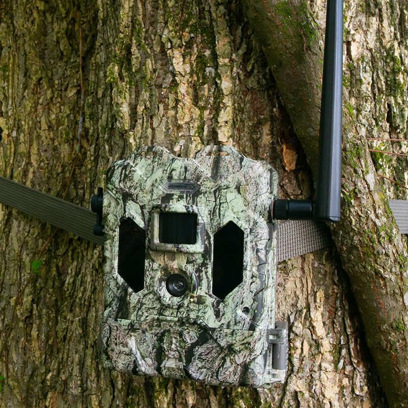 Bushnell Cellucore Live OnX integration view demonstrates seamless mapping for hunt planning