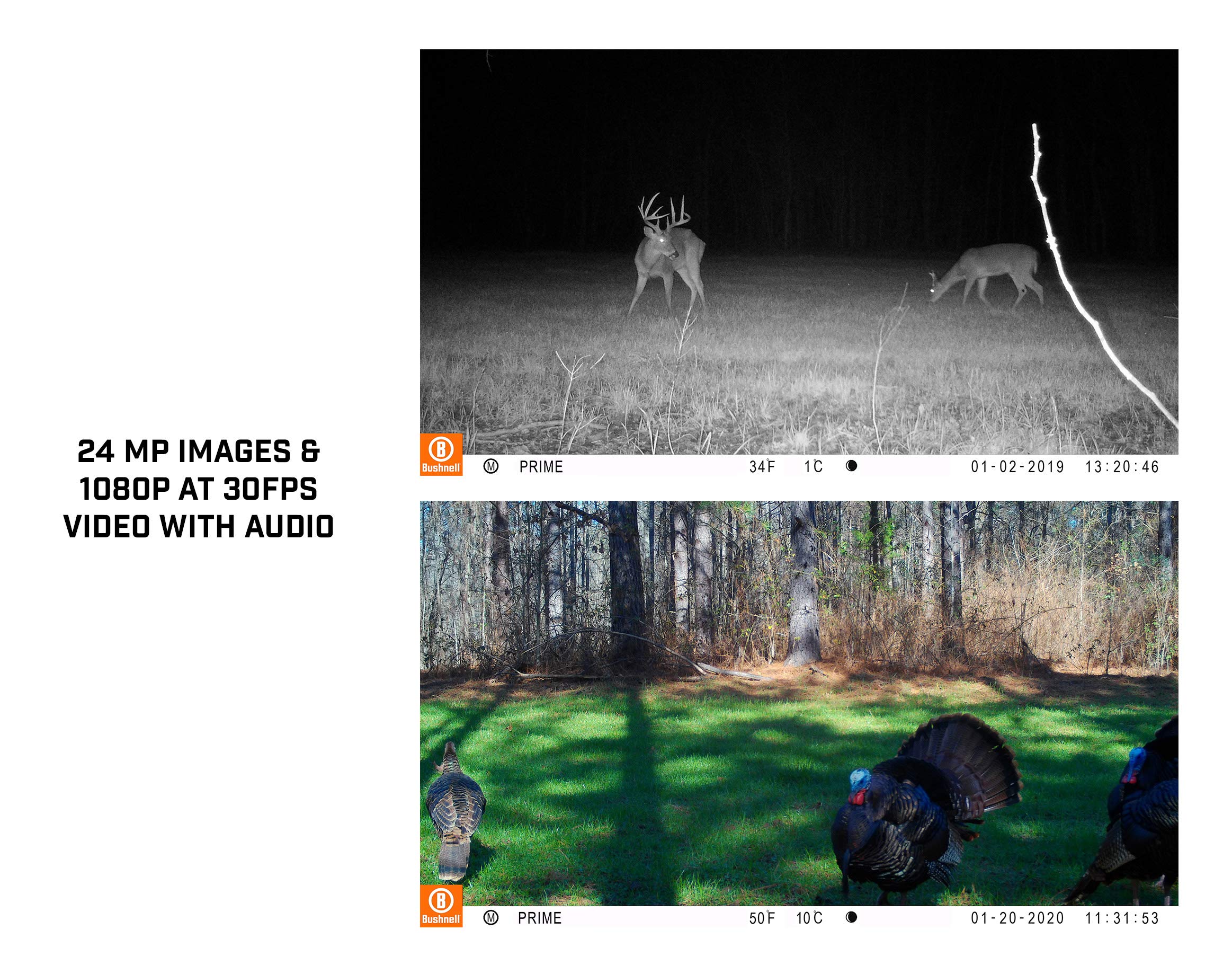 Bushnell Prime time-lapse and live trigger adds proactive surveillance