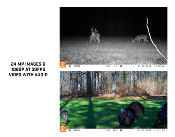 Bushnell Prime time-lapse and live trigger adds proactive surveillance
