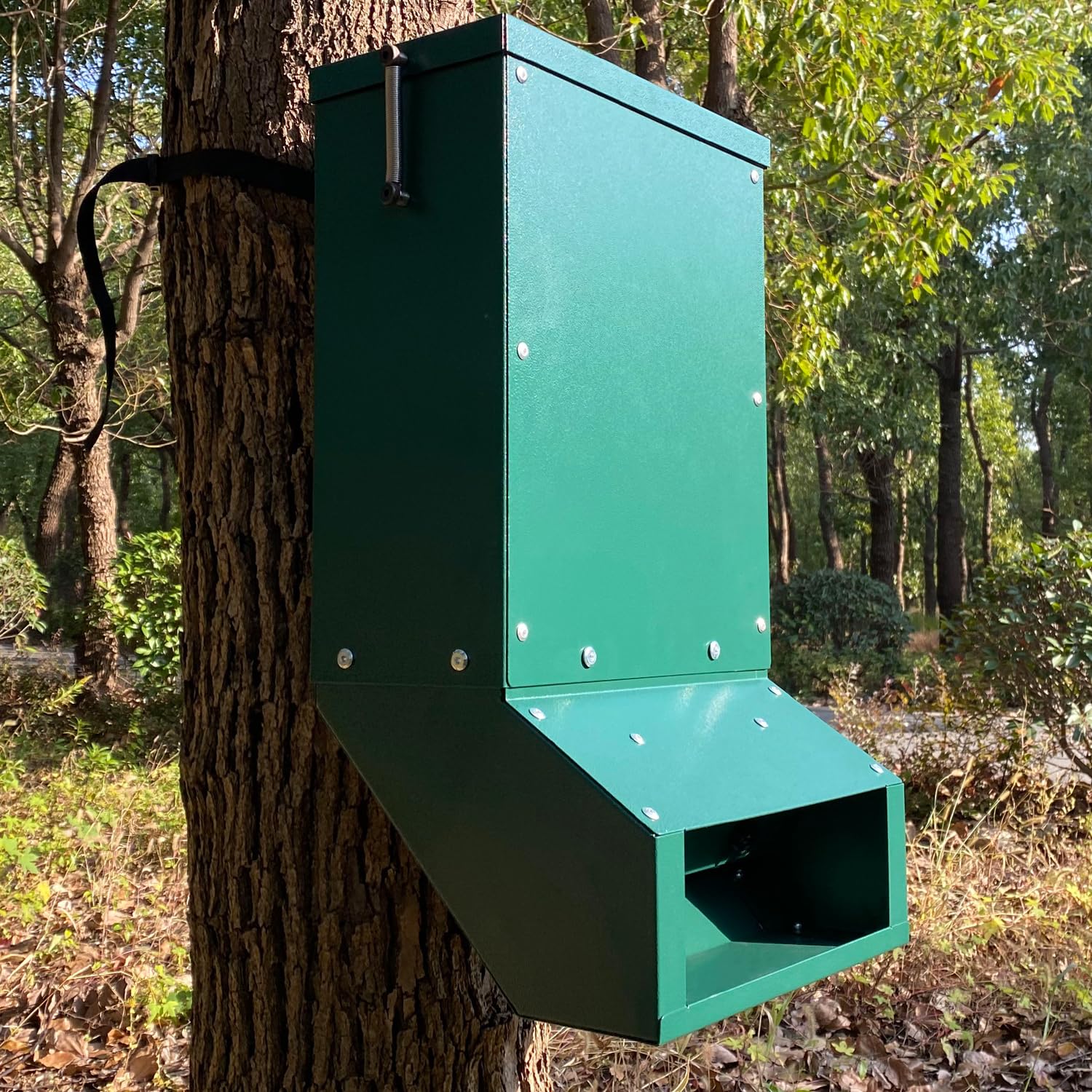 BUYYAH green wildlife feeder ready for protein and corn on your property.