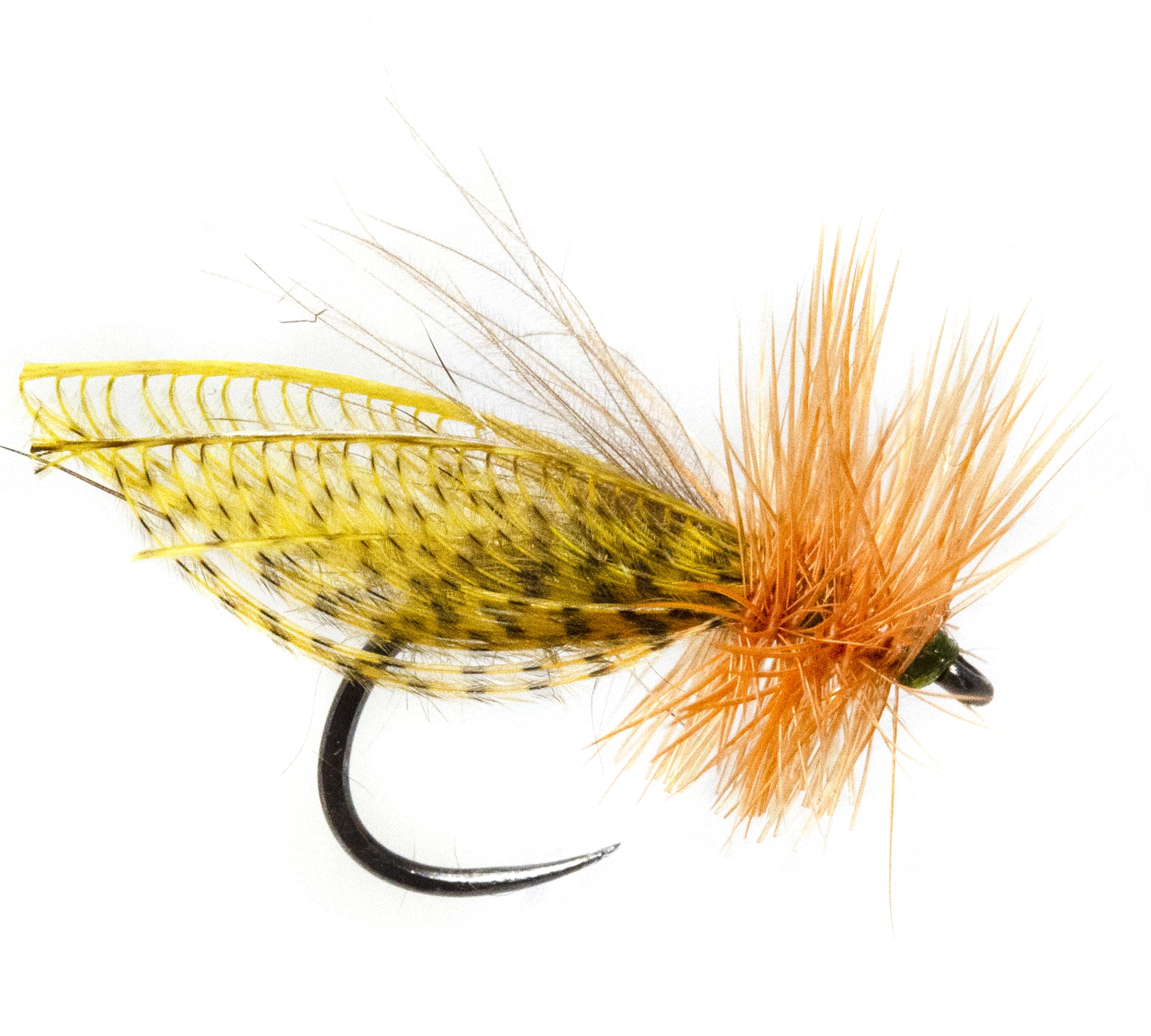 Close-up of size #12 caddis dry fly pattern