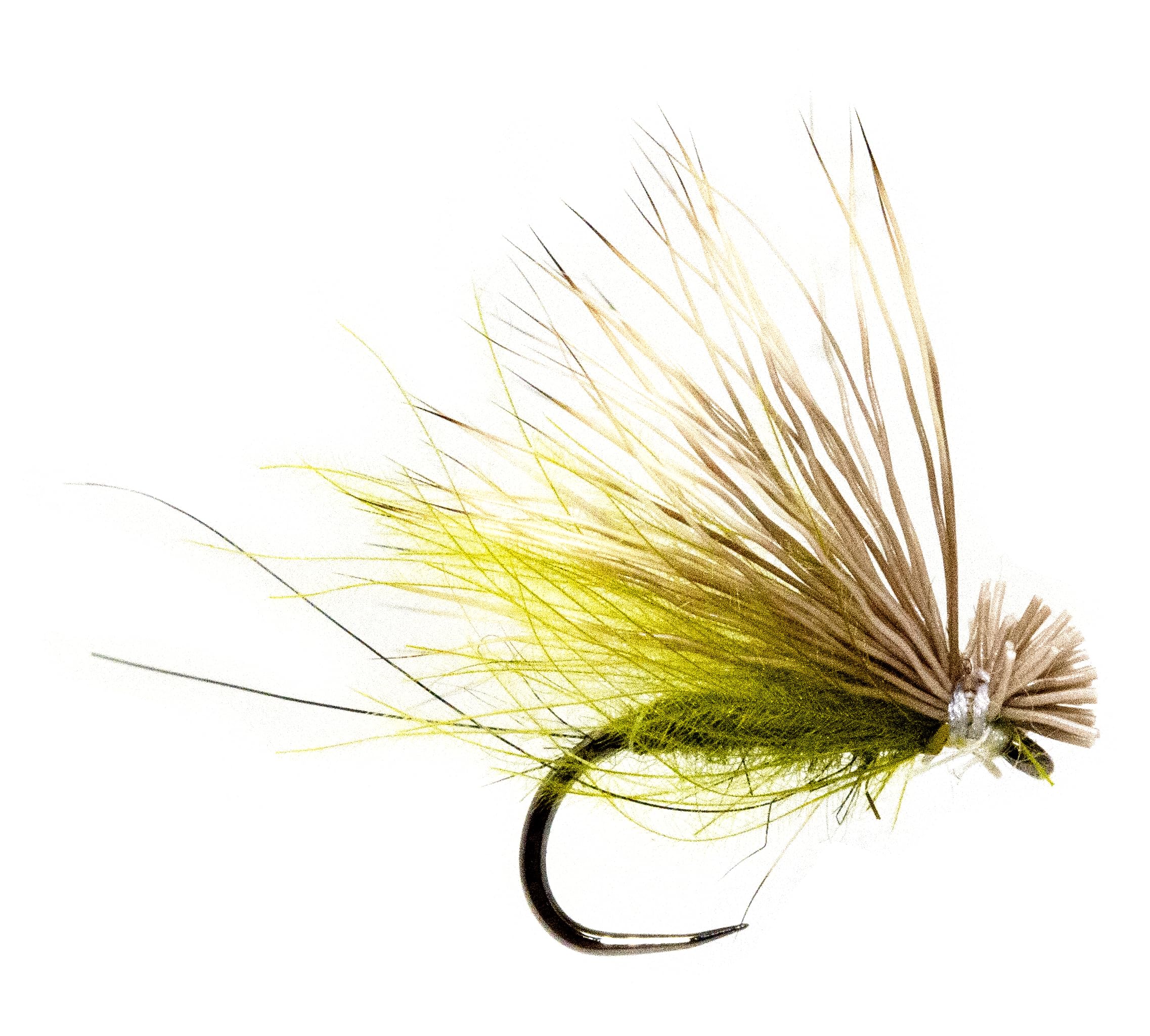 Close-up of size #14 caddis dry fly pattern