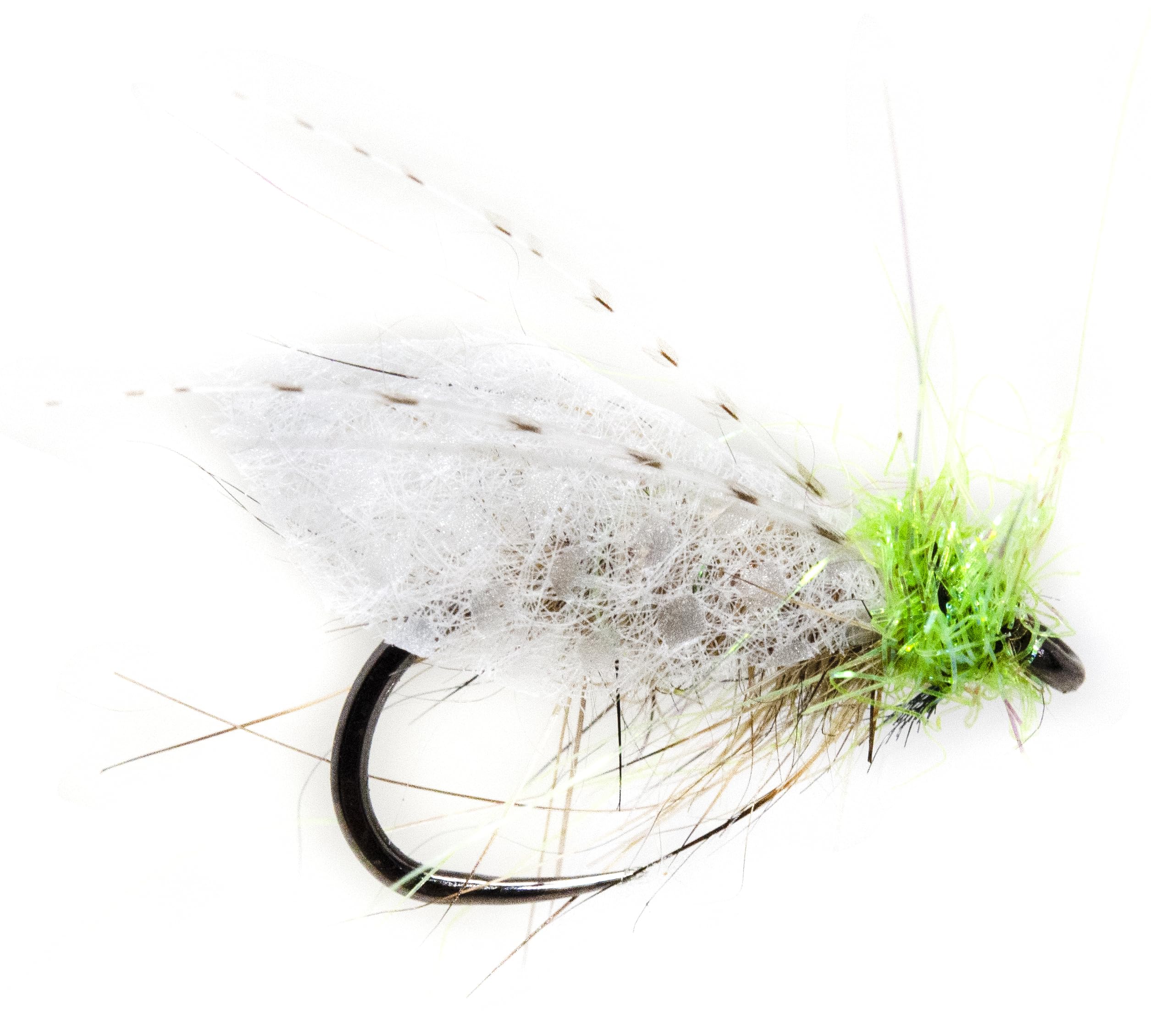 Close-up of size #16 caddis dry fly pattern