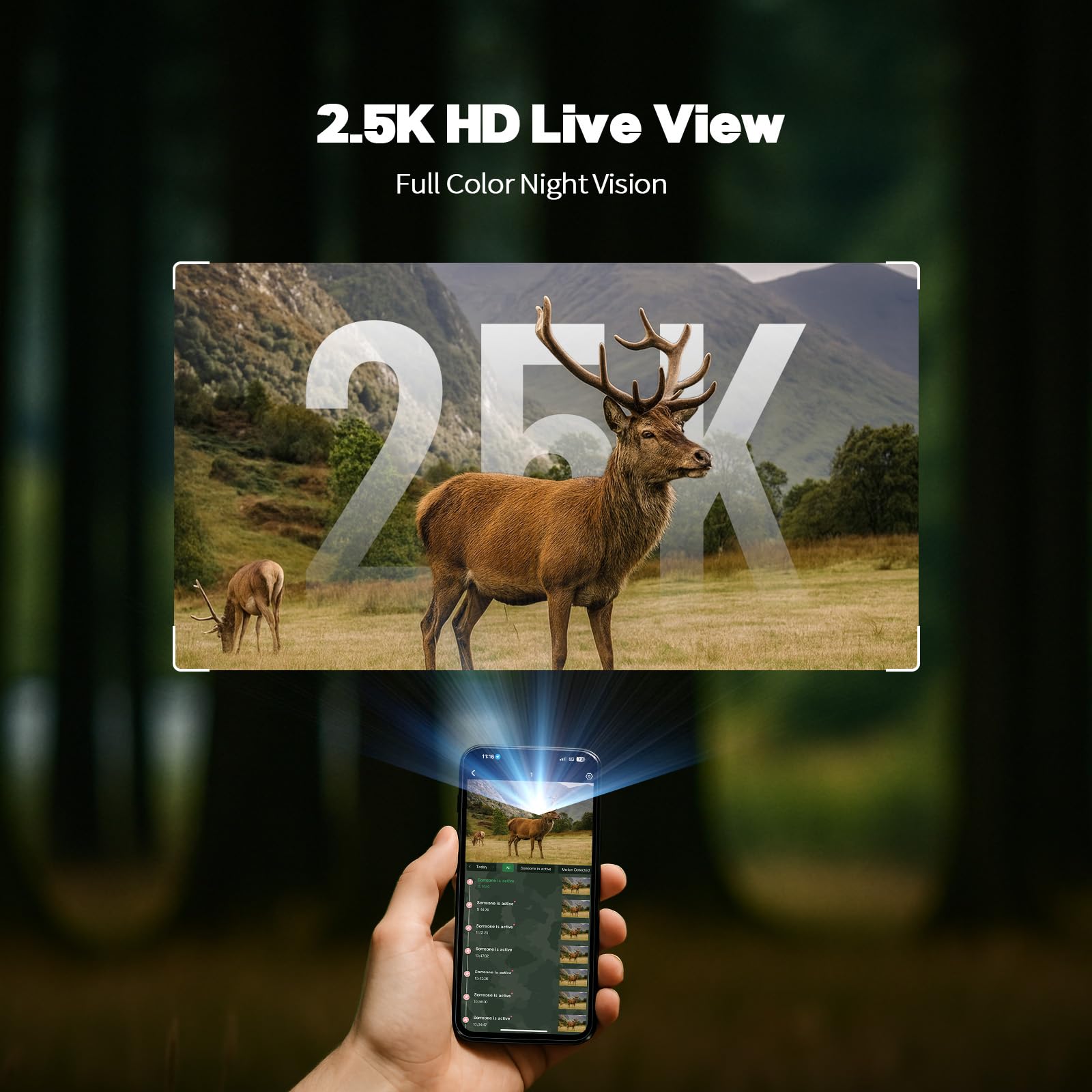 Camcamp 360-degree coverage reveals hidden trails and animal movement patterns.