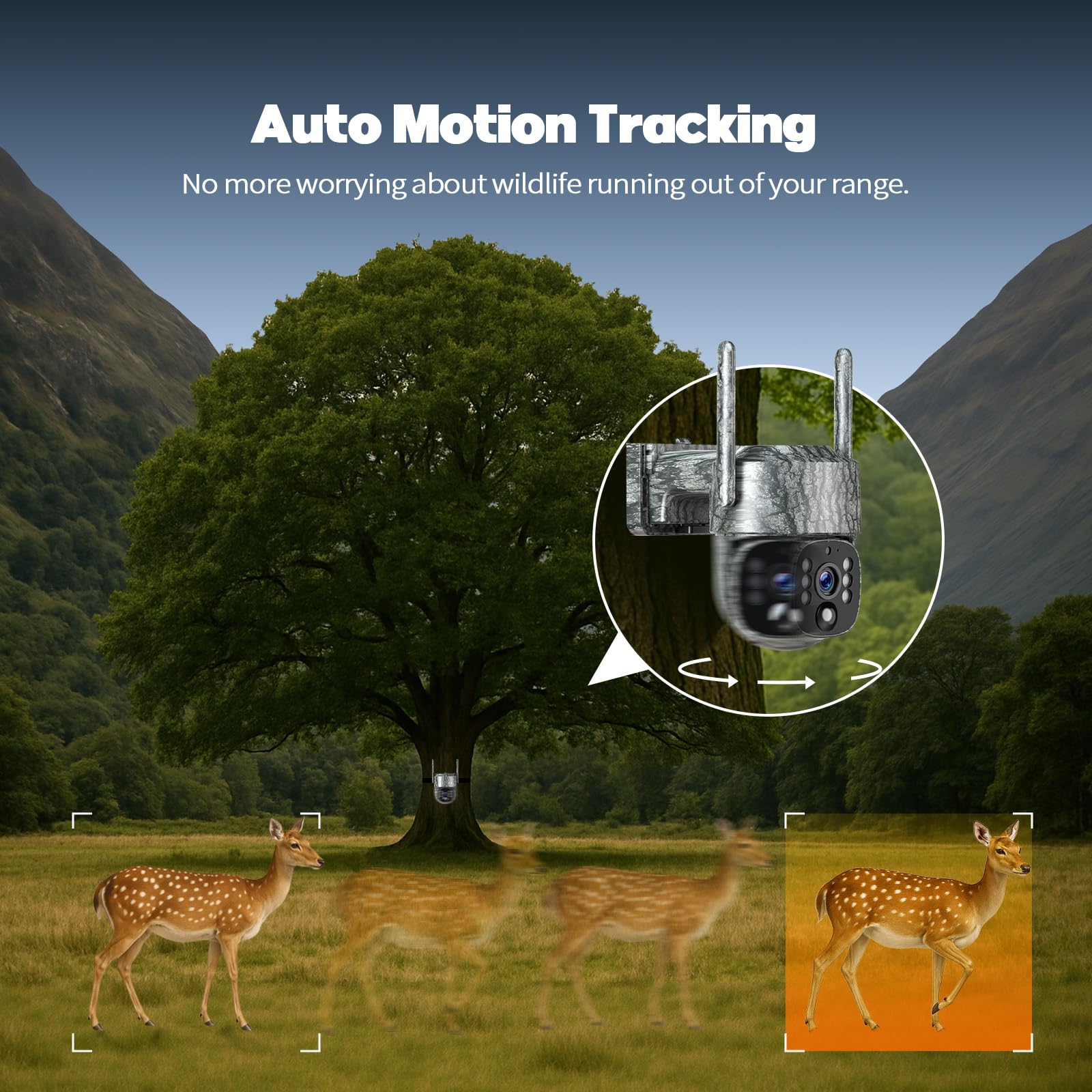 Camcamp night vision no-glow IR provides discreet twilight surveillance.
