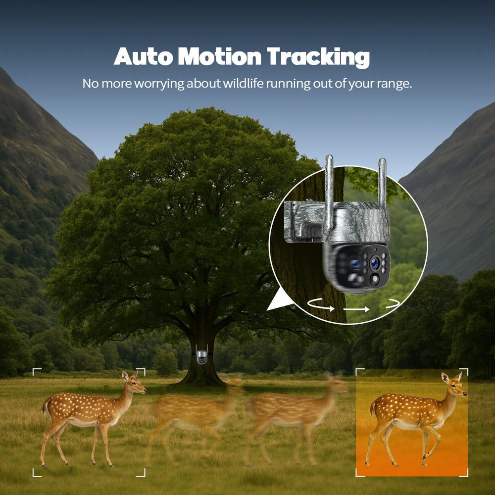 Camcamp night vision no-glow IR provides discreet twilight surveillance.