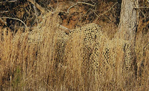 CamoSystems Ultra-lite netting provides extensive coverage on a large setup.