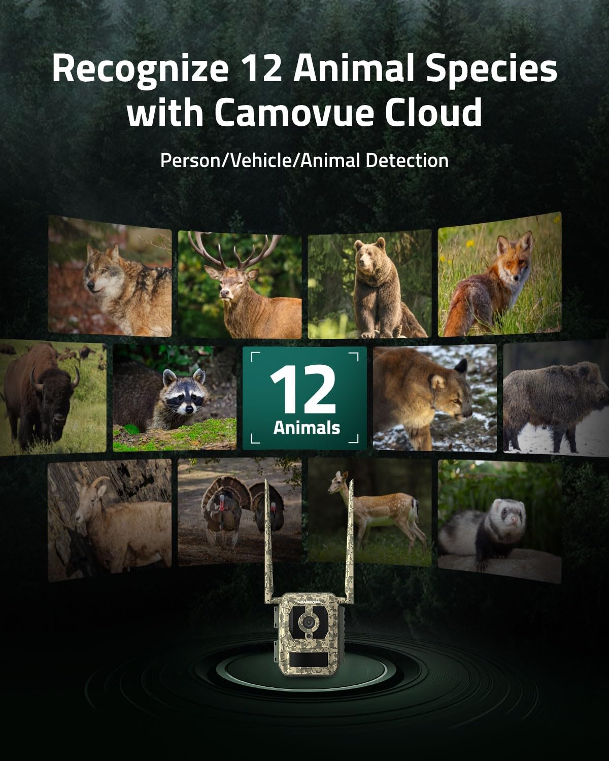 CAMOVUE trail camera GPS positioning helps track footage quickly