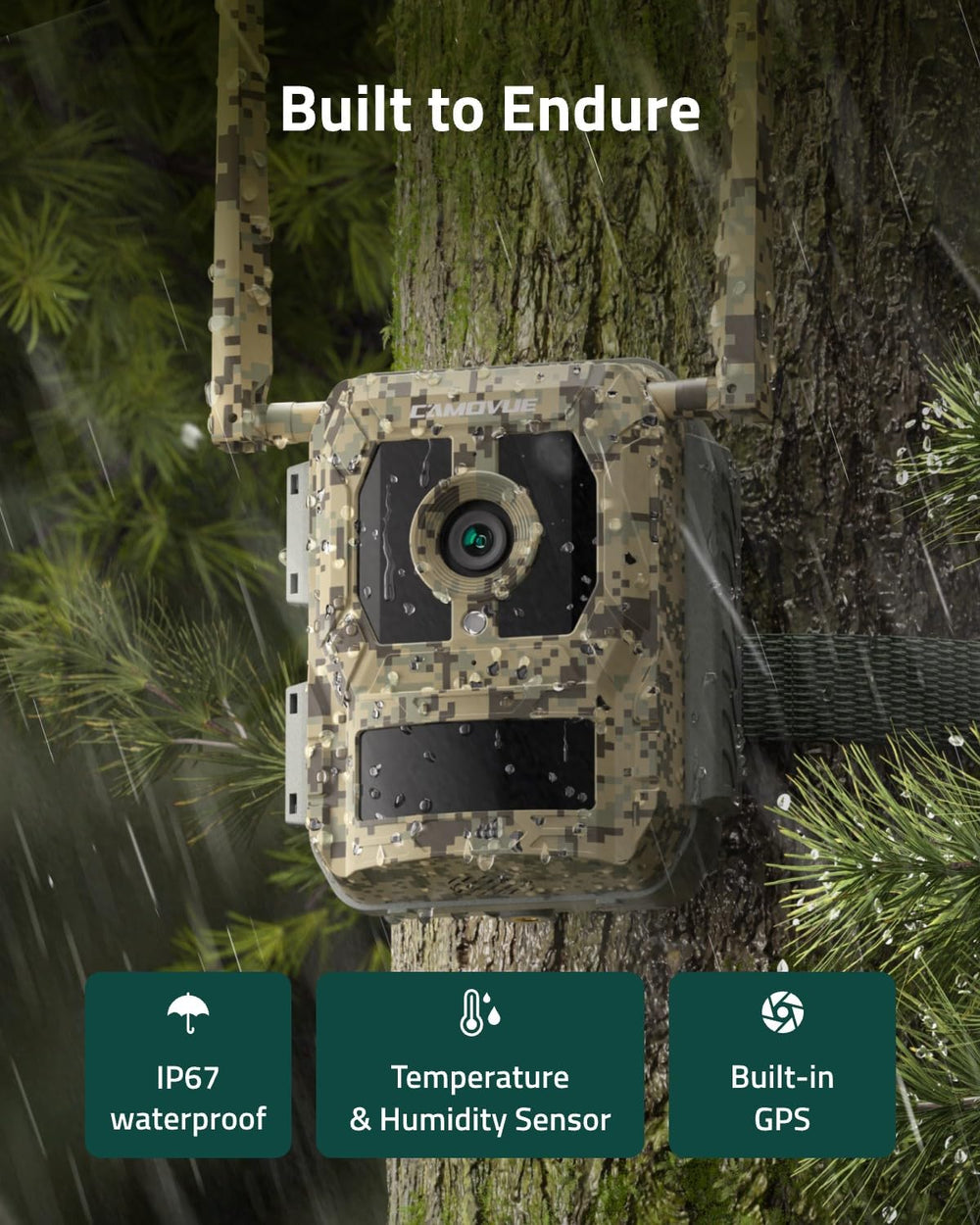 CAMOVUE species recognition identifies up to 12 species