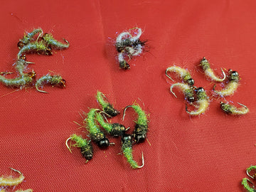 Capt. Ken's Caddis Nymph 40 fly selection on display