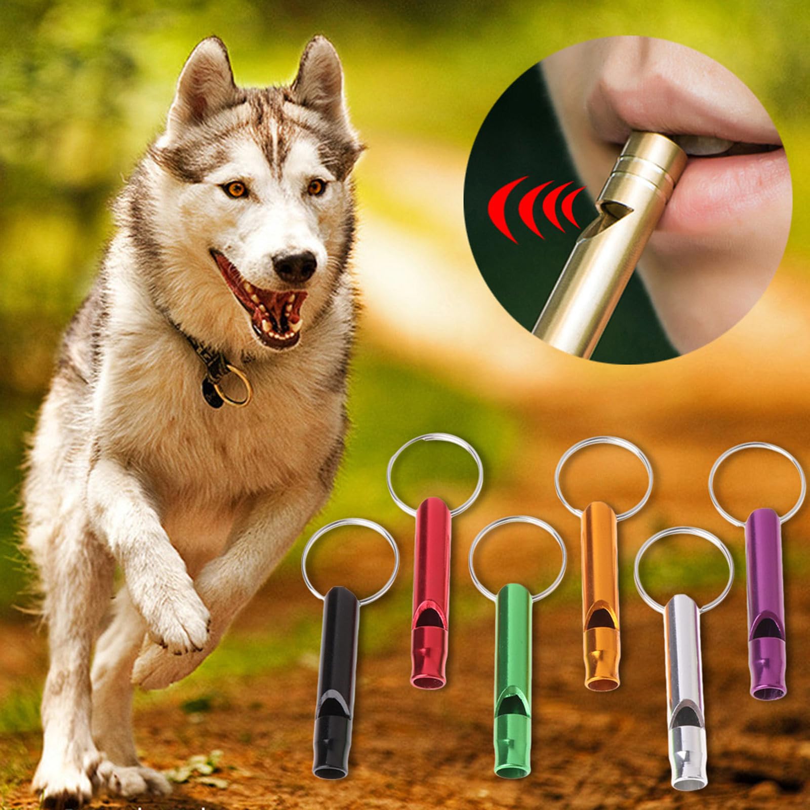 Caralin survival whistle with keyring for easy carry on daily adventures.