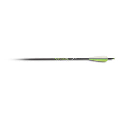 Carbon Express PileDriver 22-inch crossbolt with 4-inch vanes for high-penetration hunting and consistent shots.