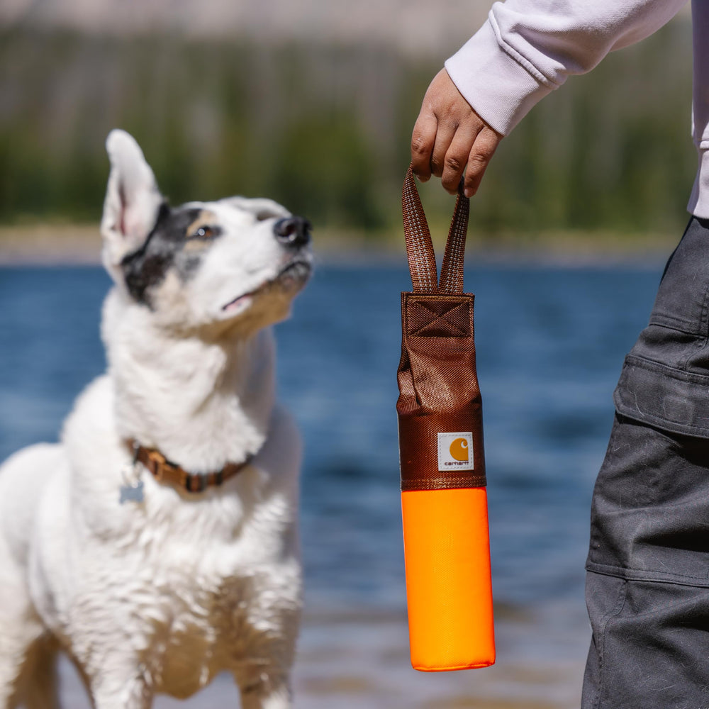 Carhartt training tool is great for park fetch and water retrieves.