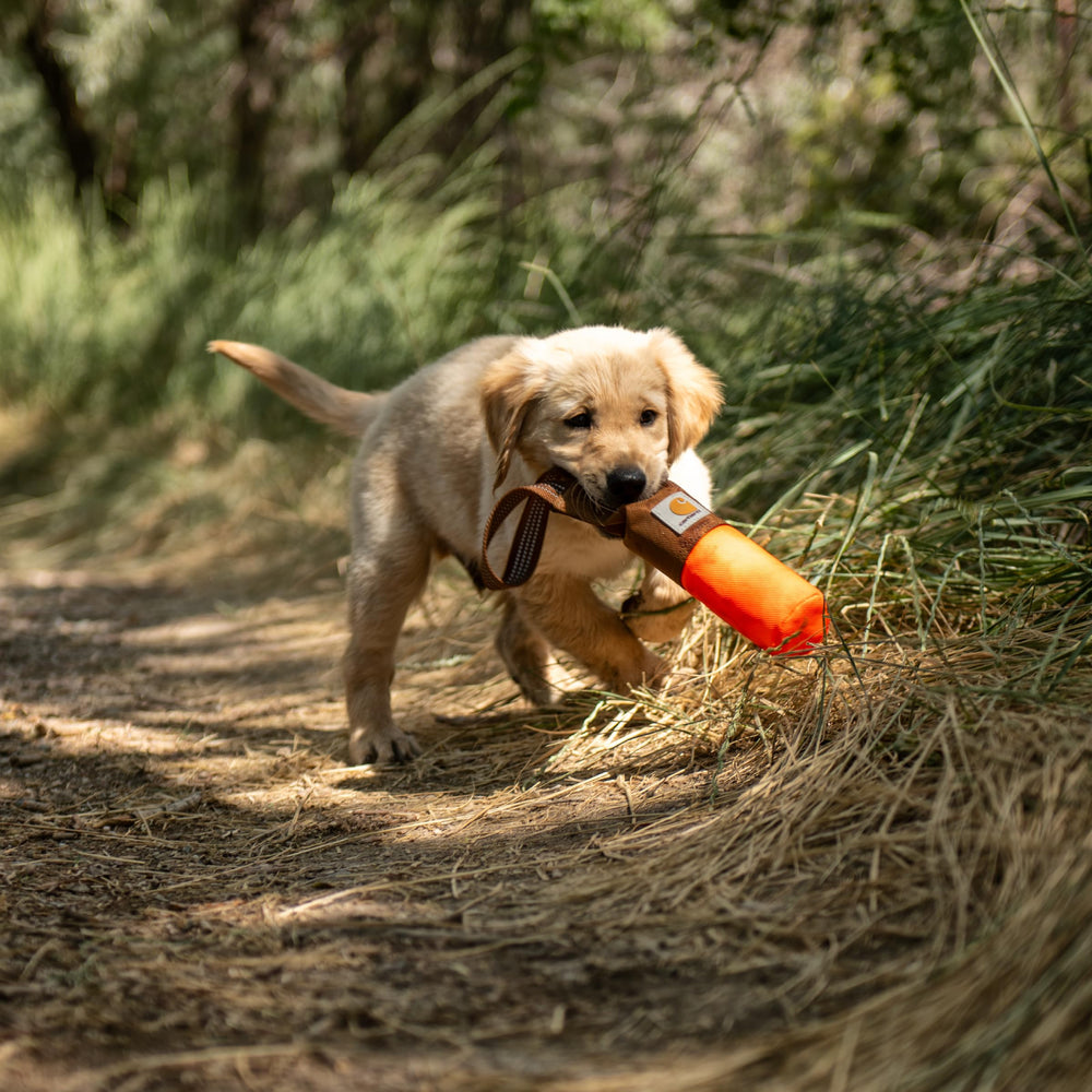 Carhartt Pet Training Tool sand-weighted base improves distance and control during throws.