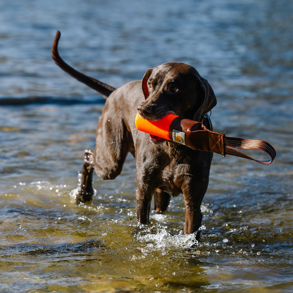 Carhartt Pet Training Tool small size 14-5-in bumper for smaller dogs.