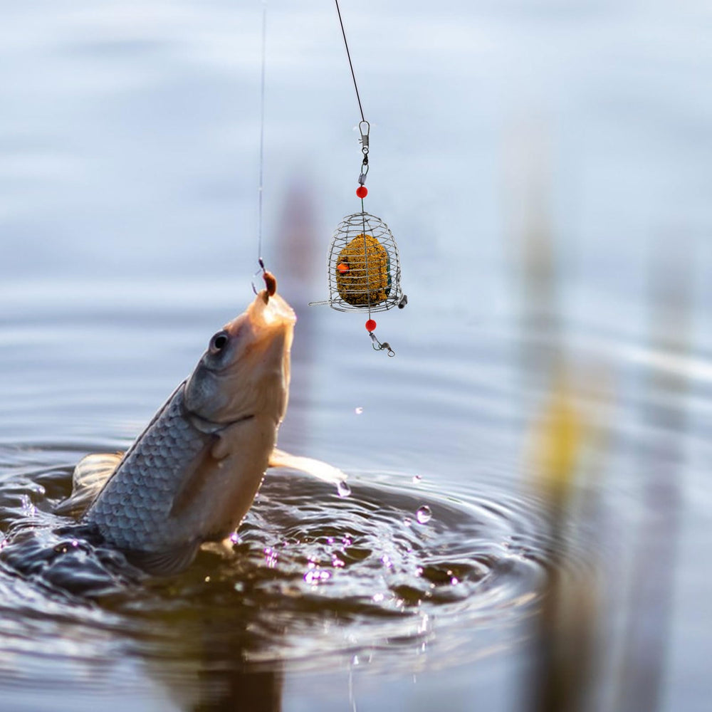 Fishing bait cage kit stainless steel