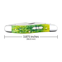 Case XX Muskrat with green apple bone, closed for compact everyday carry and quick access.