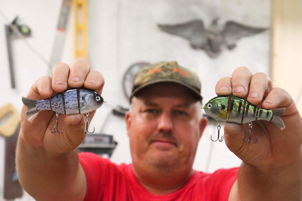 Catch Co Violet Brim coloration on Baby Bull Gill under sunlight for visibility.
