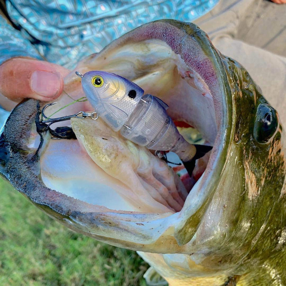 Catch Co Mike Bucca Baby Bull Shad collaborative design highlights the Mike Bucca partnership.