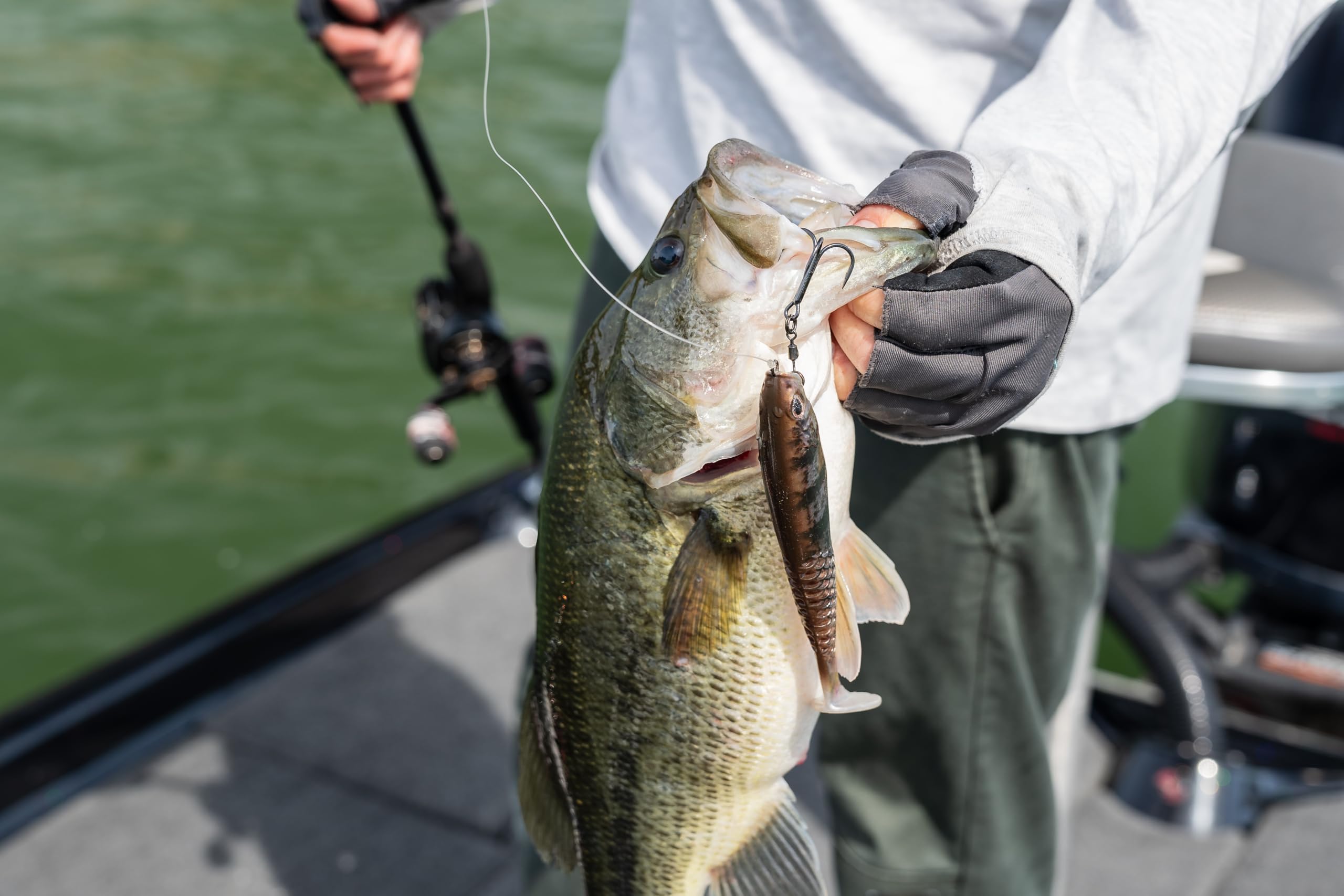 Catch Co Mystery Tackle Box swimbaits angler setup demonstrates practical on-water use and organization.
