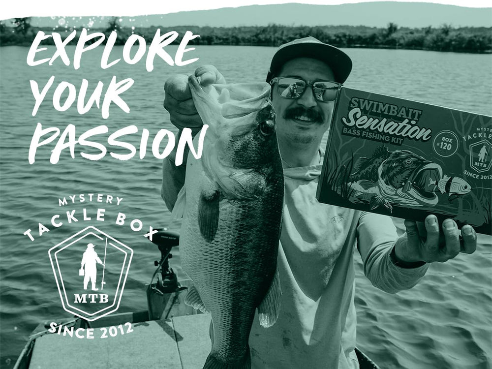Catch Co Mystery Tackle Box swimbaits bass-targeting designs aimed at triggering strikes.